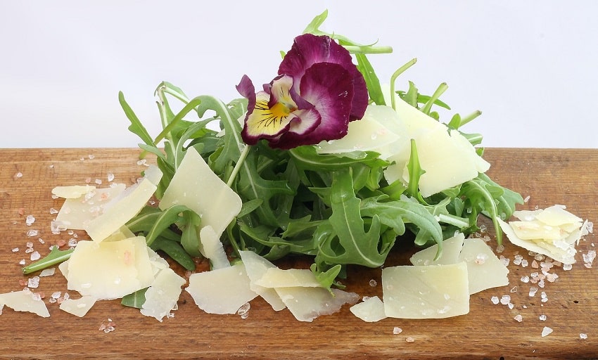 Parmesan Käse gesund Nährstoffe Kalorien ungesund gesundheitschädlich Fett Fettgehalt